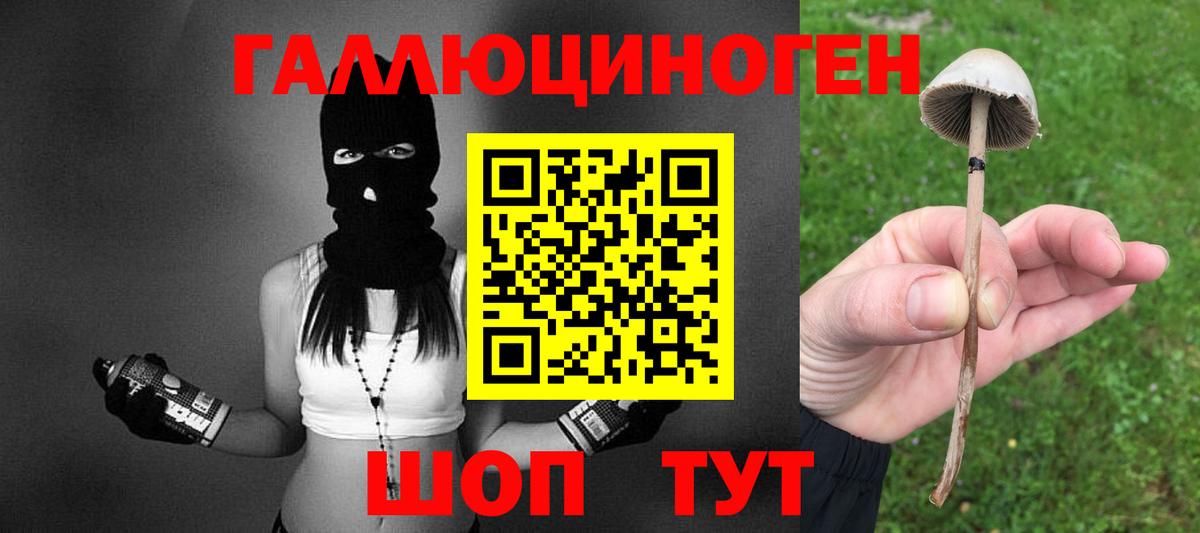 Галлюциногенные грибы GOLDEN TEACHER Аша